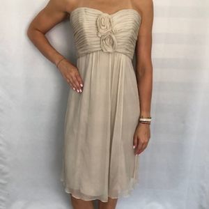 NWT Tag says Sz 10 but fits like a 4. Blush Nude Strapless Silk Chiffon Dress